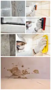 עבודות בגובה עם ציוד בטיחות ותחזוקה מקצועית.