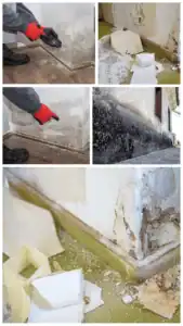 עבודות בגובה עם ציוד בטיחות ותחזוקה מקצועית.